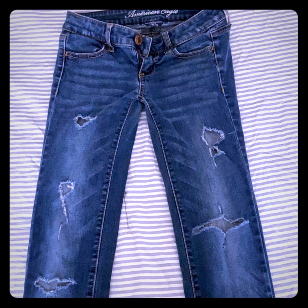 American Eagle begging